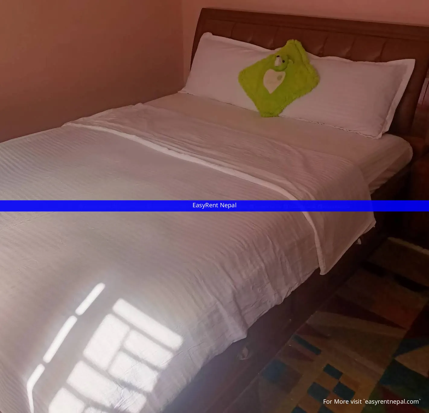 Fully Furnished 2 Bhk Flat For Rent In Lazimpat Kathmandu