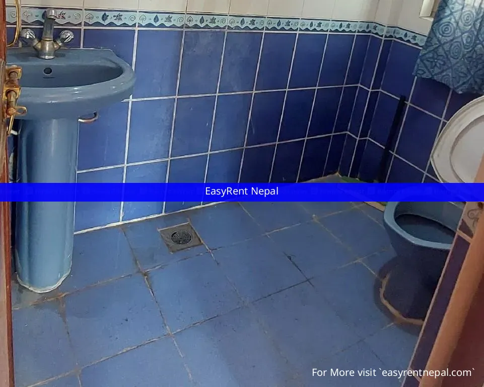 A Standard 3bhk Modern Flat On Rent In Jhamsikhel. | For Rent