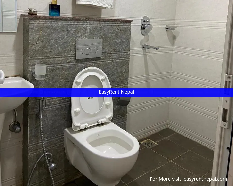 Studio Furnished Flat For Rent!! ????jamal,kathmandu - Rental property in Nepal