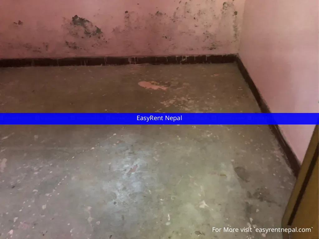 Affordable 2bhk Flat For Rent For Family In Chibahal, Lalitpur - Rental property in Nepal
