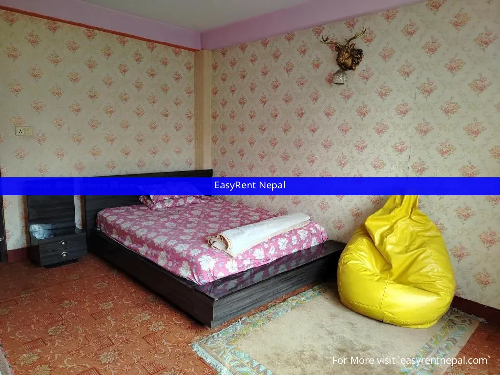 Room Needed In Sanepa, Bhakundol, Jhamsikhel Area | For Rent photo 1