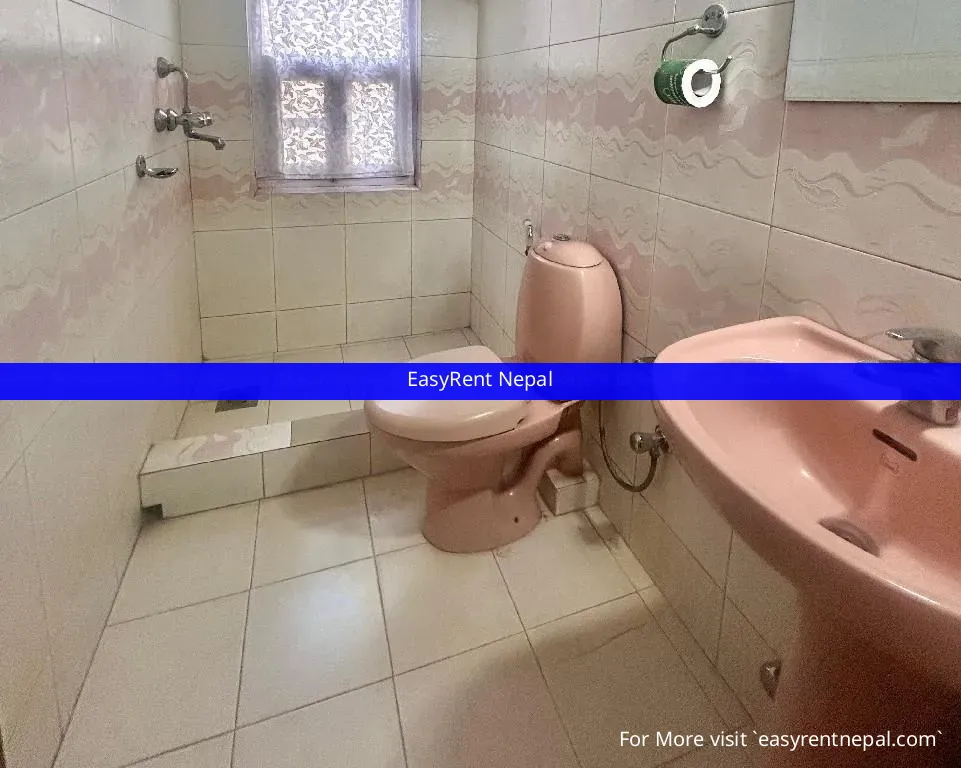 Cozy Furnished 1bhk Apartment For Rent In Chapalkarkhana, Kathmandu | Secure And Convenient