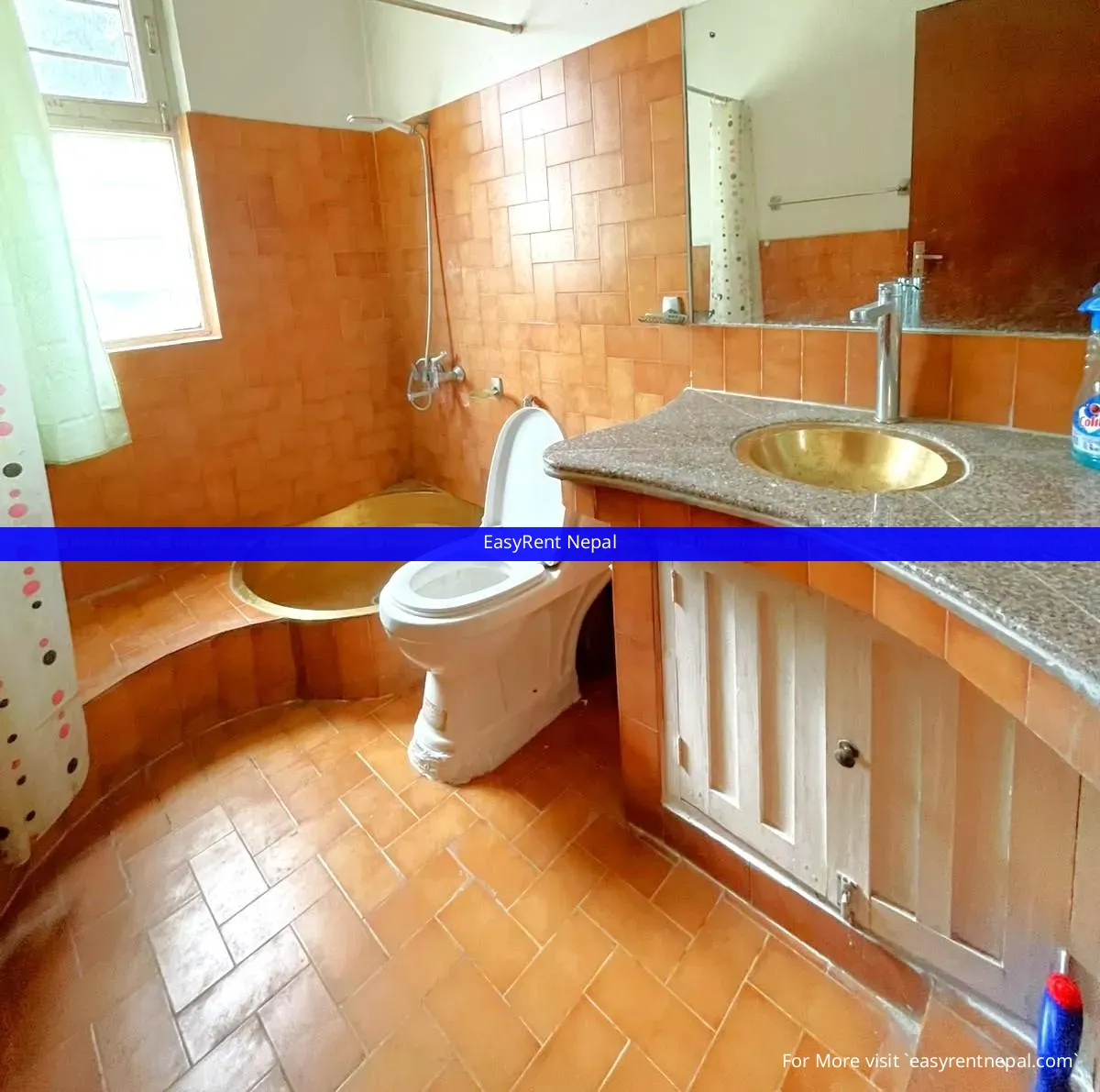 3bhkd (2 Bathroom) Fully Furnish Flat In Aloknagar | For Rent